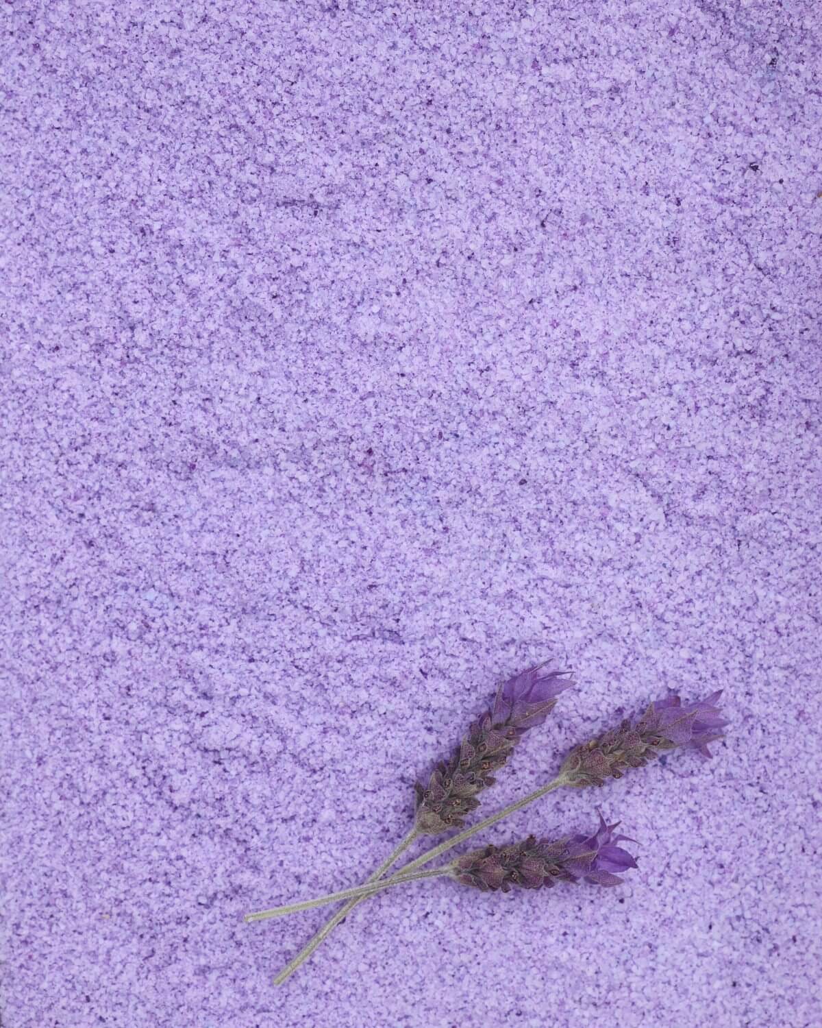Terra Arcoíris Lavanda