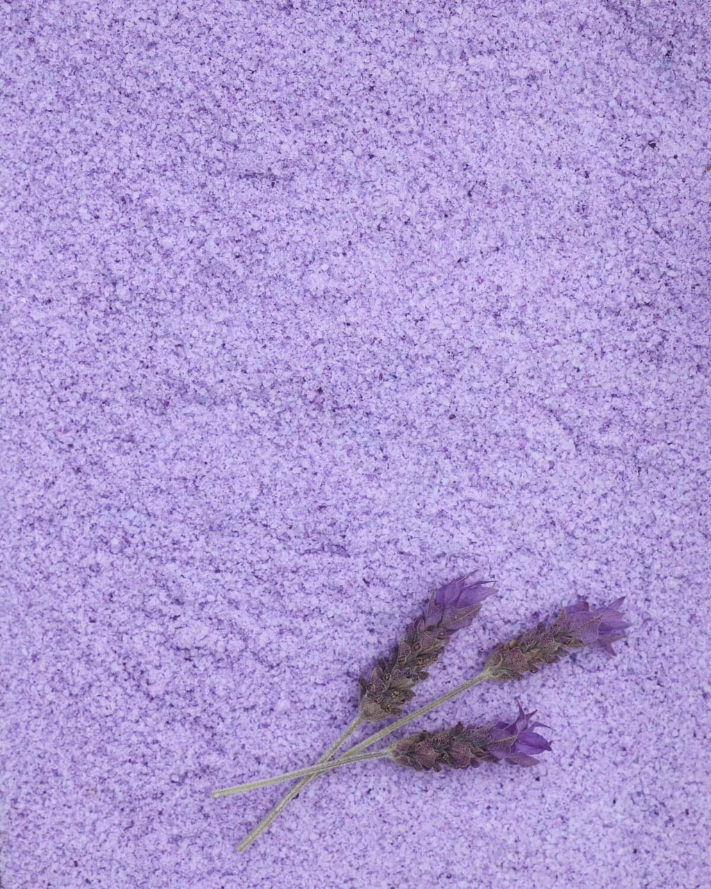 Terra Arcoíris Lavanda