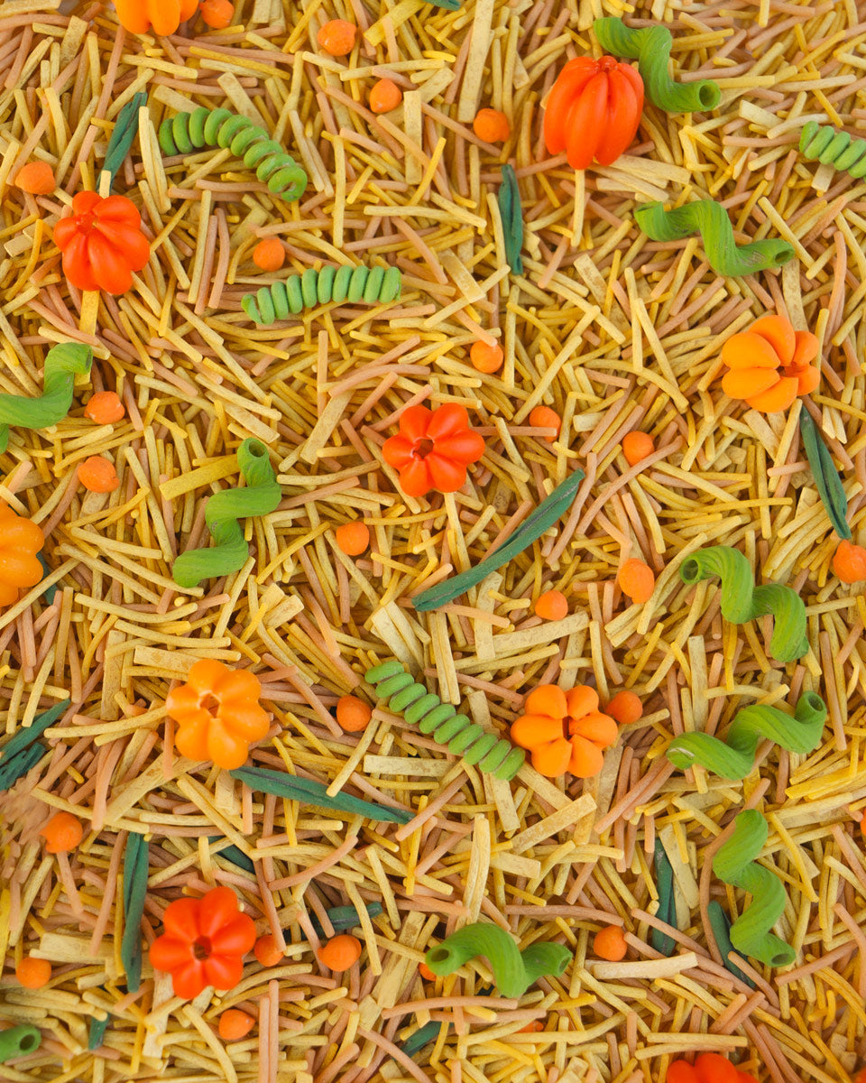 Base Otoño 🍁🍂