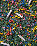 Base sensorial pizarra y tizas