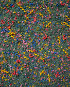 Base sensorial pizarra y tizas